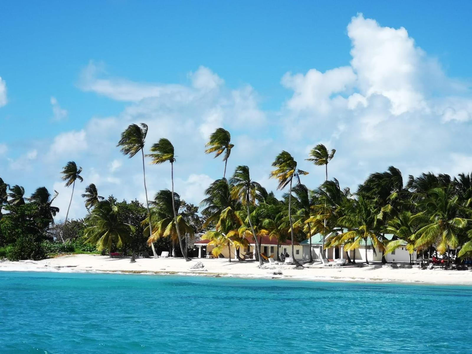 Saona Beach House - Bed And Breakfast Mano Juan Exterior foto